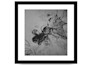 create exclusive abstract art and illustrations